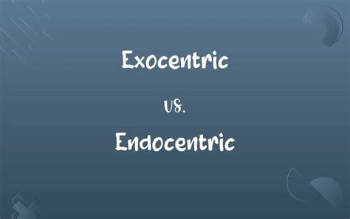 What is the difference between endocentric and exocentric compounds?