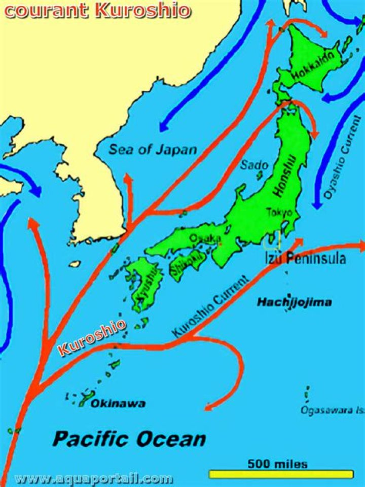 What is the longitude kuroshio current?