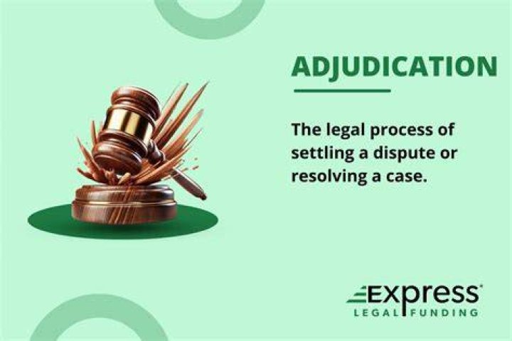 What is to adjudicate?