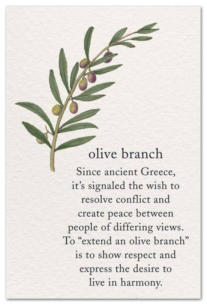 Whats an olive branch?