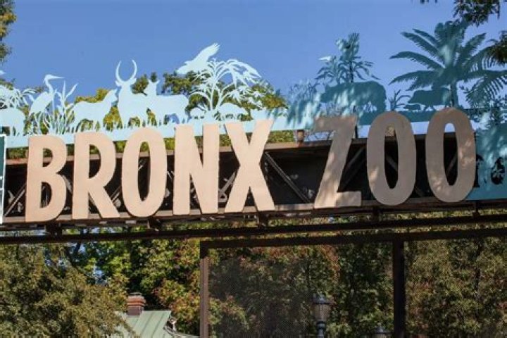 When bronx zoo open?