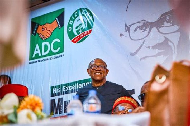 When did adc become afdc?
