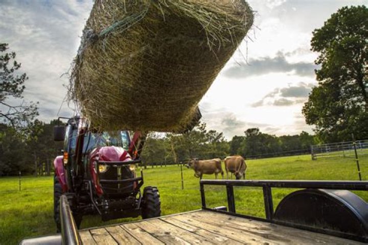 When did baling hay begin?