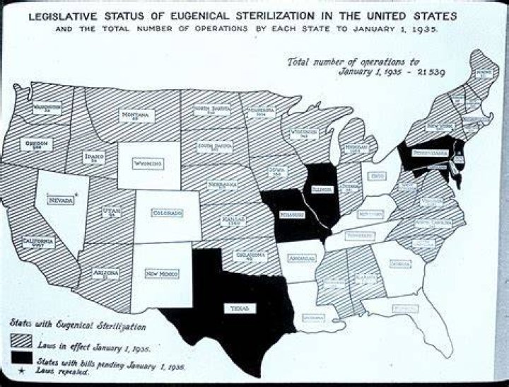 When did forced sterilizations start?