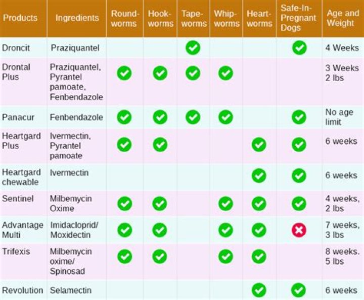 When do dog wormers work?