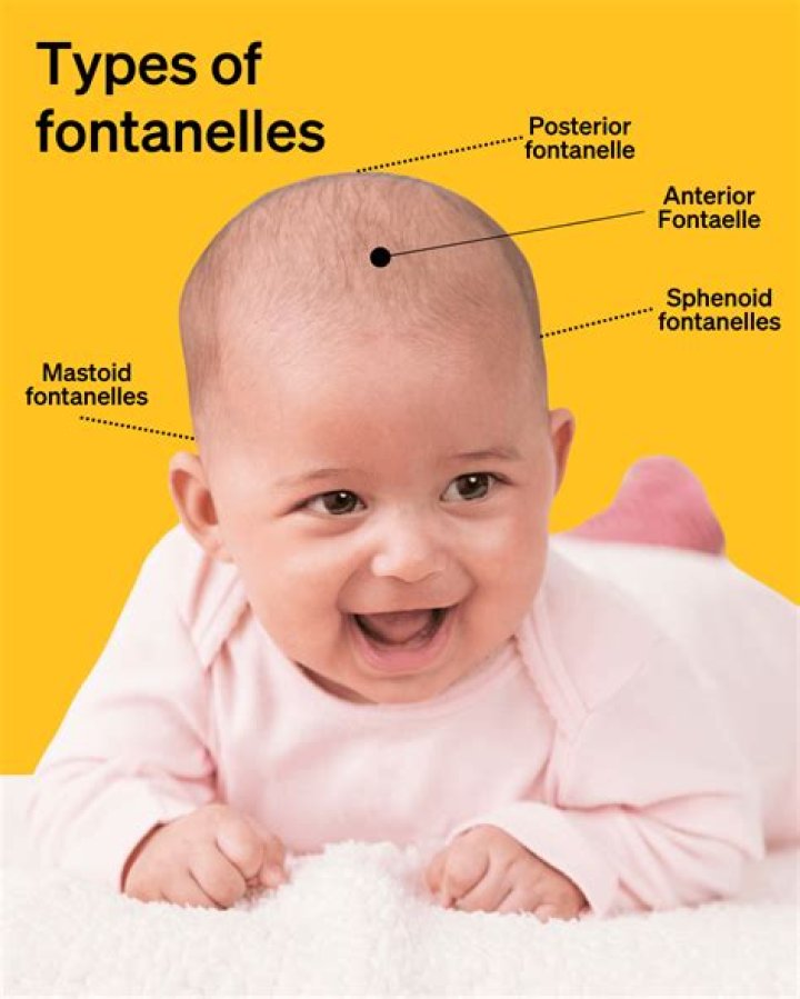When fontanelles close on babies?