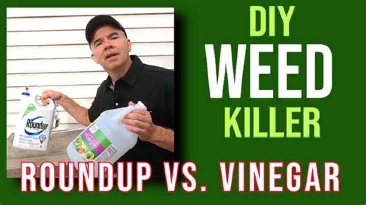 When is the best time to kill weeds?