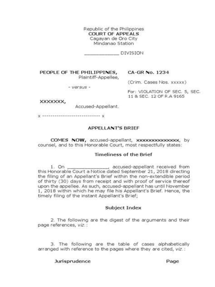 When to file appellant's brief?