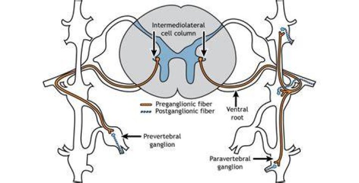 When to use ganglionic blocker?