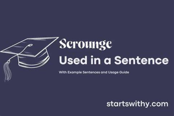 When to use scrounge?