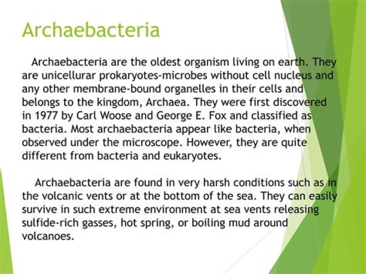 When were archaea discovered?