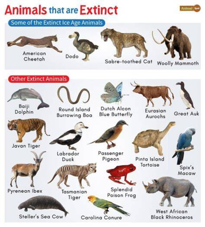 When will mankind go extinct?