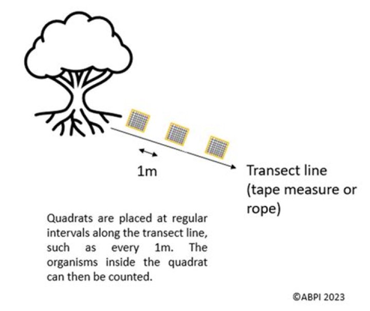 When would you use a transect?
