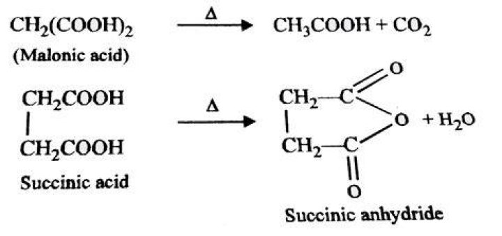 Where can succinic acid be found?