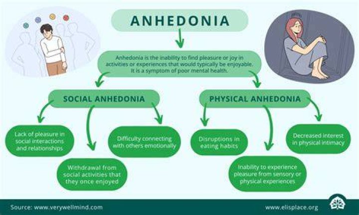 Where does anhedonia come from?
