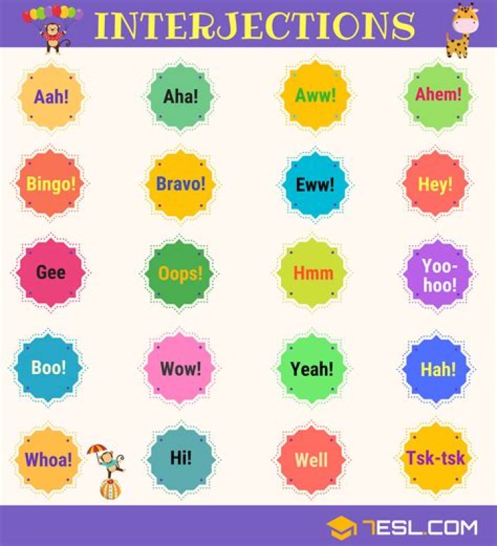 Where does interjection come from?