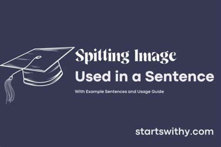 Where does phrase spitting image come from?