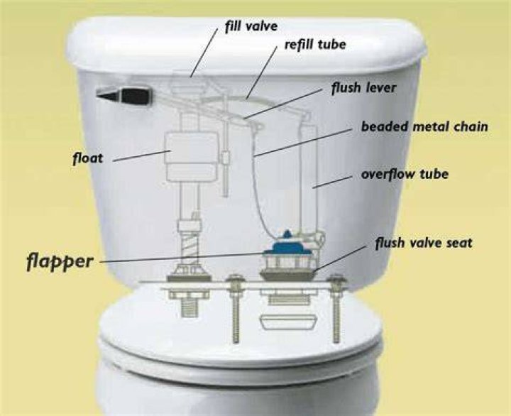 Where does the phrase four-flusher come from?