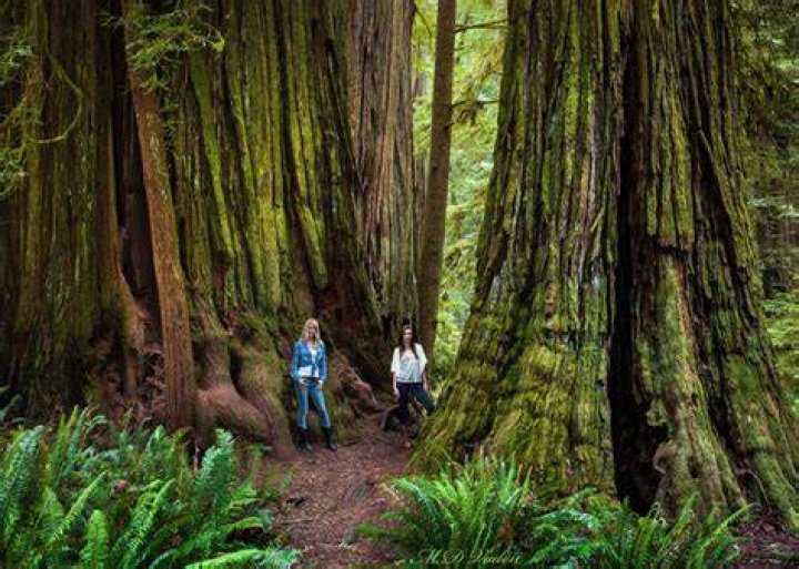 Where endor was filmed?