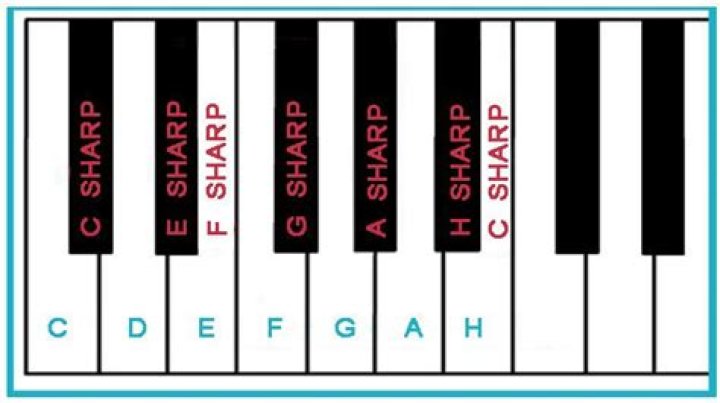 Where is d sharp on the piano?