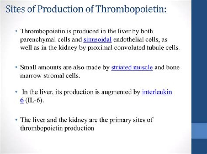 Where is thrombopoietin made?