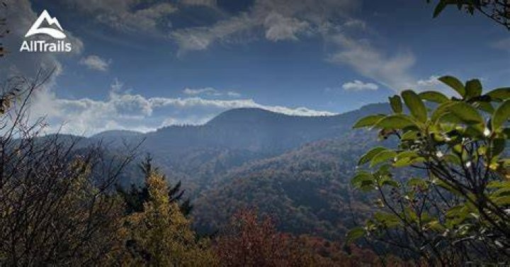 Where is wildcat falls?