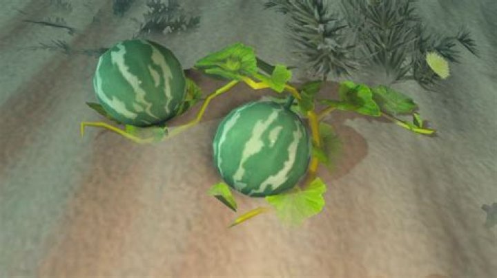 Where to find hydromelons botw?