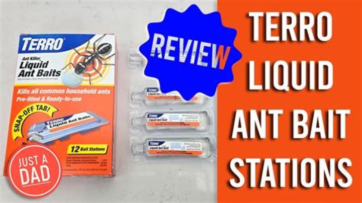 Which ant baits work best?