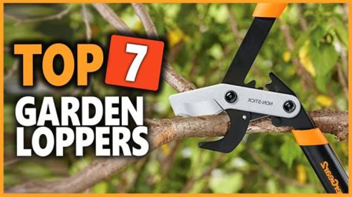 Which best garden loppers?