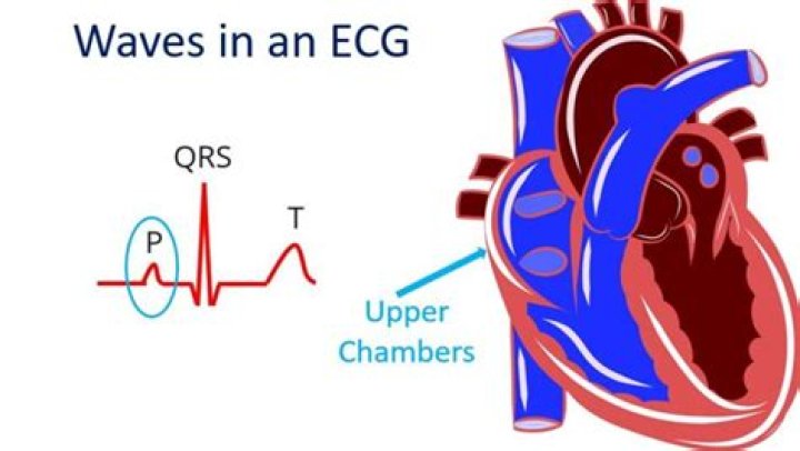 Which chambers are contracting during the p wave?