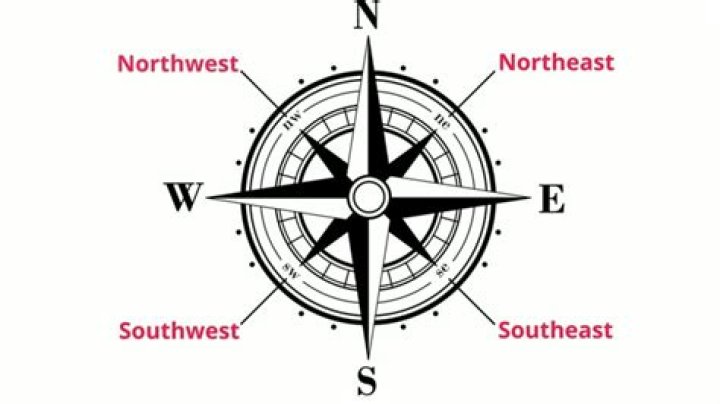 Which direction do the setae point?