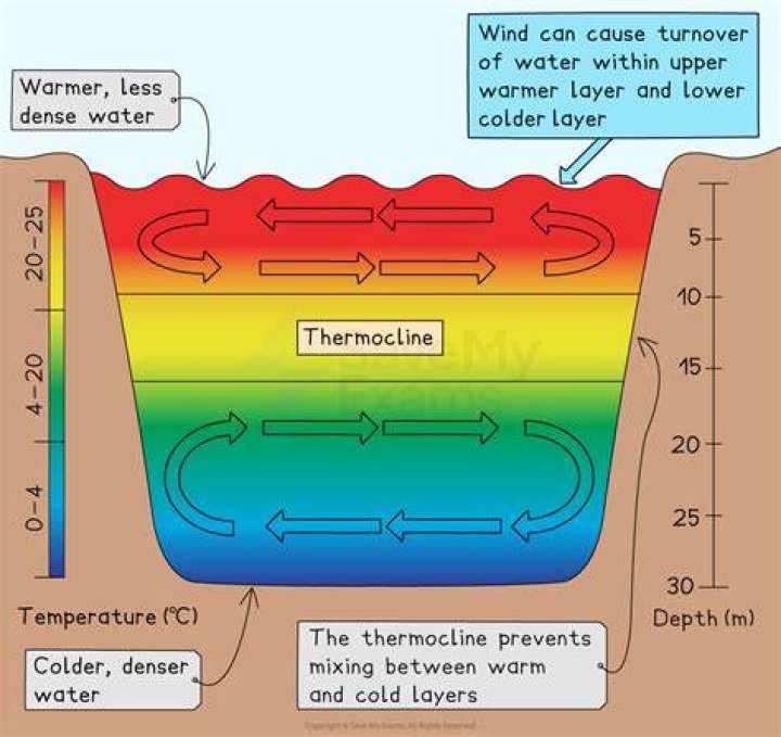 Which is denser air or water?