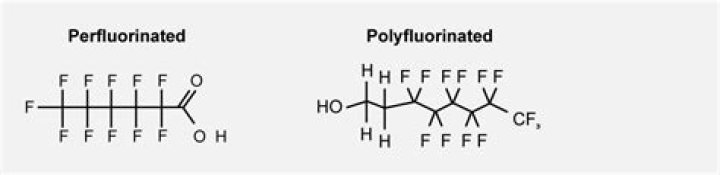 Which is fully fluorinated polymer?