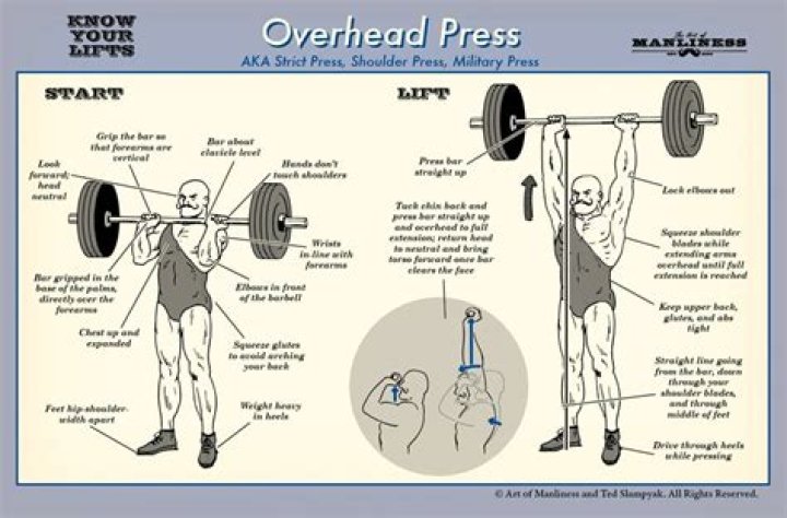 Which muscles do overhead press work?