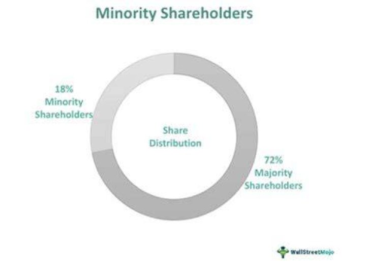 Who are minority shareholders?