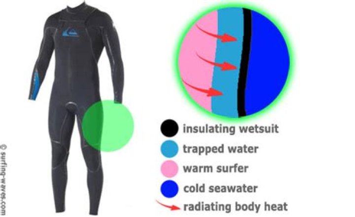 Who does a wetsuit work?