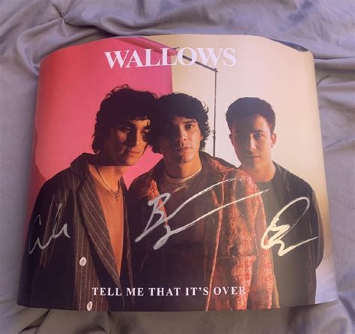 Who is wallows signed to?