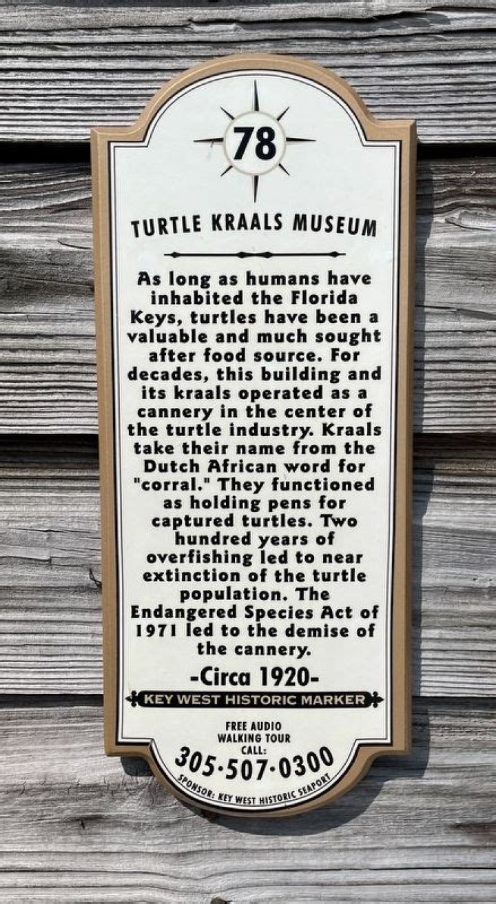 Who owns turtle kraals?
