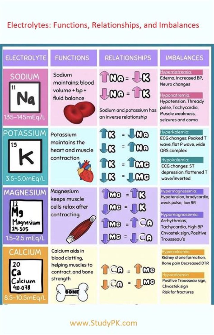 Why are electrolytes physiologically important quizlet?