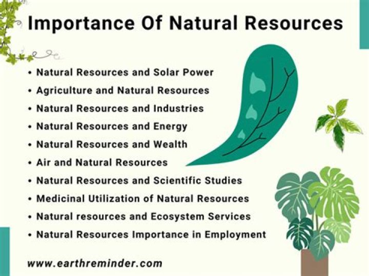 Why are natural resources so important?