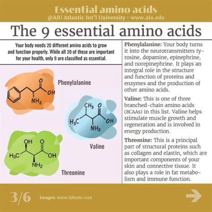 Why are some amino acids essential?
