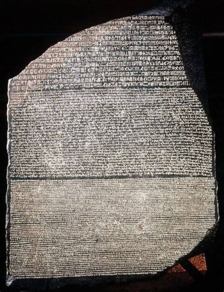Why are stele important?