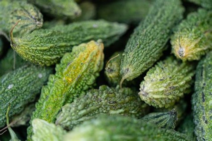 Why bitter gourd is bitter?