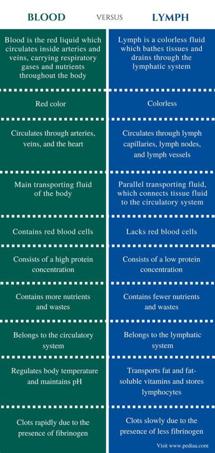 Why difference between blood and lymph?
