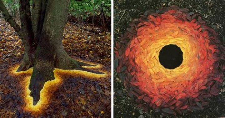 Why does andy goldsworthy use nature?