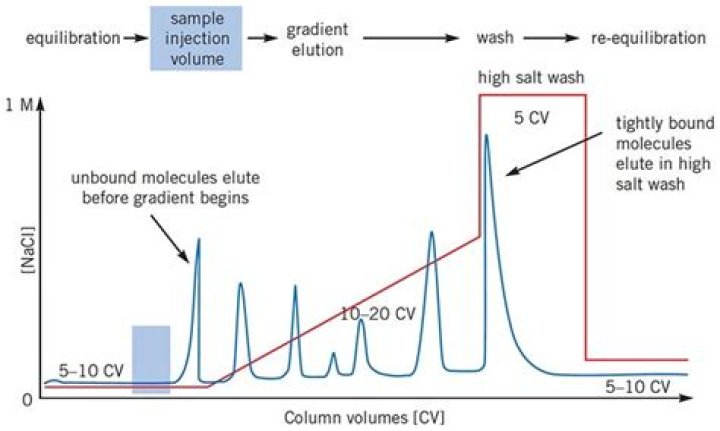 Why gradient elution is better for separation?