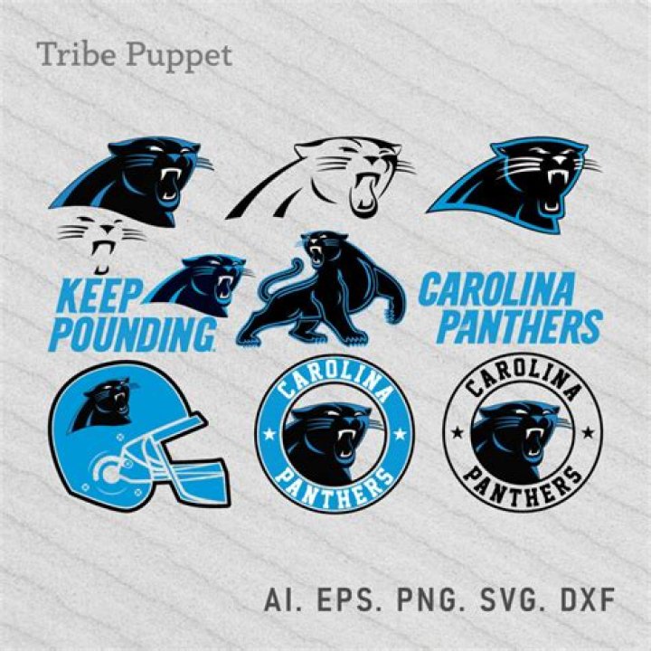 Why is carolina the panthers?