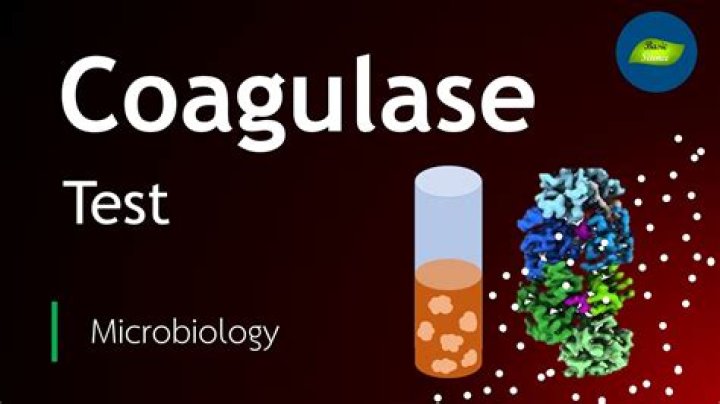 Why is coagulase test performed?