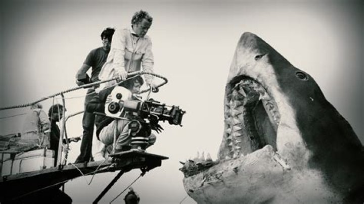 Why is spielberg so popular?