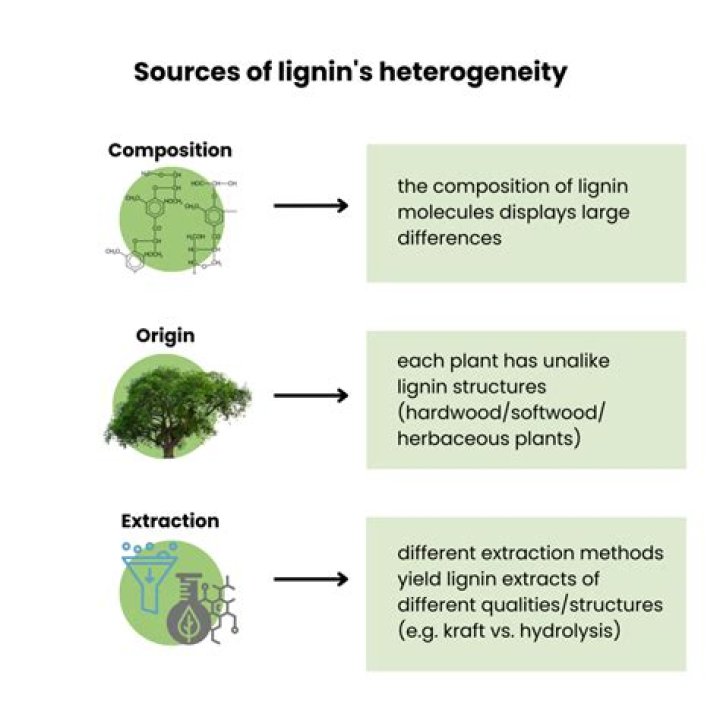 Why lignin decomposition is a slow process?